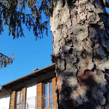 Lägenhet Casa Olimpia